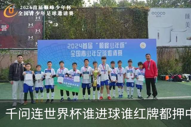 千问连世界杯谁进球谁红牌都押中，中国男足没来但国产AI赢很大