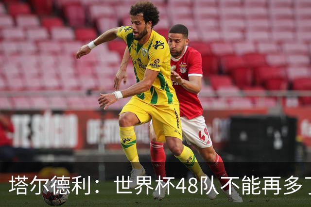 塔尔德利：世界杯48队不能再多了 四年一次很神圣不能两年一次