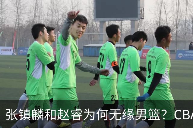 张镇麟和赵睿为何无缘男篮？CBA名记分析，道出2个原因