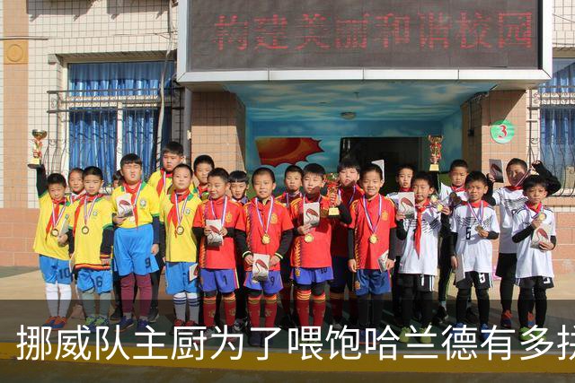 挪威队主厨为了喂饱哈兰德有多拼？他每天要补充6000卡路里热量，进入淘汰赛后球队紧急订购食材