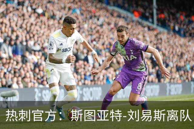 热刺官方：斯图亚特-刘易斯离队，前往伊普斯维奇担任教练