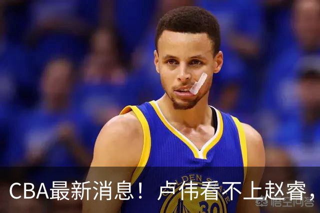 CBA最新消息！卢伟看不上赵睿，张镇麟转会费超5000万，林葳无缘国家队原因曝光
